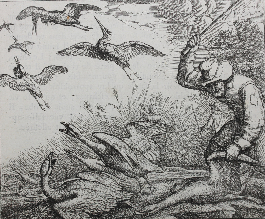 Francis Barlow. LXXIX. The Geese in the Corn. From Aesop's Fables. Etching. 1666.