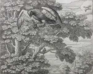 Francis Barlow. LXXVI. The Nightingale and Hawk. From Aesop's Fables. Etching. 1666.
