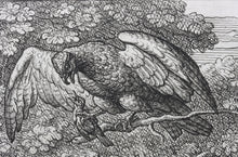 Load image into Gallery viewer, Francis Barlow. LXXVI. The Nightingale and Hawk. From Aesop&#39;s Fables. Etching. 1666.
