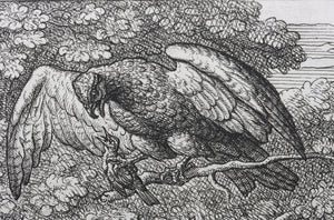 Francis Barlow. LXXVI. The Nightingale and Hawk. From Aesop's Fables. Etching. 1666.