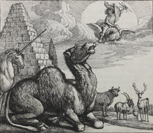 Load image into Gallery viewer, Francis Barlow. LXV. Jupiter and the Camels. From Aesop&#39;s Fables. Etching. 1666.
