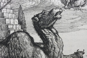 Francis Barlow. LXV. Jupiter and the Camels. From Aesop's Fables. Etching. 1666.