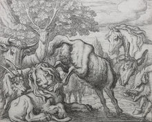 Load image into Gallery viewer, Francis Barlow. XCIX. The Old Lion. From Aesop&#39;s Fables. Etching. 1666.
