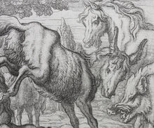 Load image into Gallery viewer, Francis Barlow. XCIX. The Old Lion. From Aesop&#39;s Fables. Etching. 1666.
