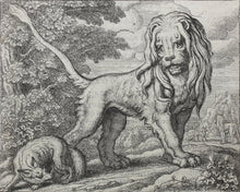 Load image into Gallery viewer, Francis Barlow. XXVII. The Lion and Fox. From Aesop&#39;s Fables. Etching. 1666.
