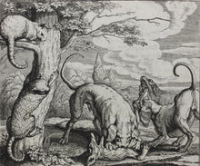 Load image into Gallery viewer, Francis Barlow. XX. The Fox and the Cat. From Aesop&#39;s Fables. Etching. 1666.
