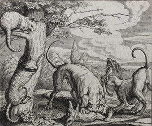 Francis Barlow. XX. The Fox and the Cat. From Aesop's Fables. Etching. 1666.