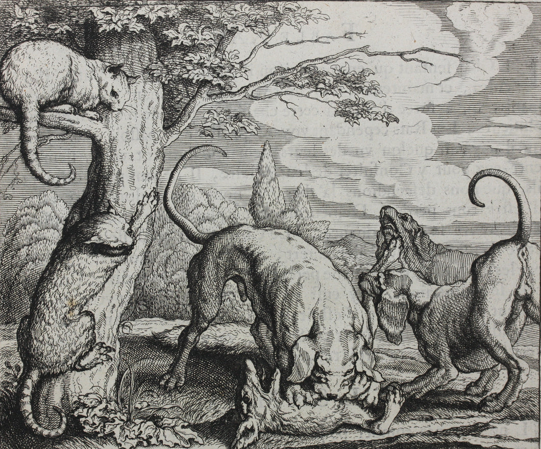Francis Barlow. XX. The Fox and the Cat. From Aesop's Fables. Etching. 1666.