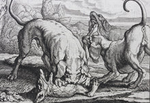 Load image into Gallery viewer, Francis Barlow. XX. The Fox and the Cat. From Aesop&#39;s Fables. Etching. 1666.
