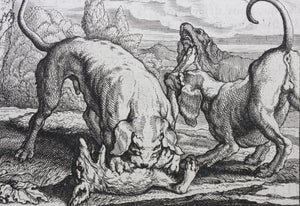 Francis Barlow. XX. The Fox and the Cat. From Aesop's Fables. Etching. 1666.