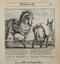 Load image into Gallery viewer, Francis Barlow. XIV. The Horse and Ass. From Aesop&#39;s Fables. Etching. 1666.
