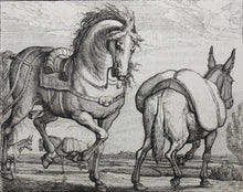 Load image into Gallery viewer, Francis Barlow. XIV. The Horse and Ass. From Aesop&#39;s Fables. Etching. 1666.
