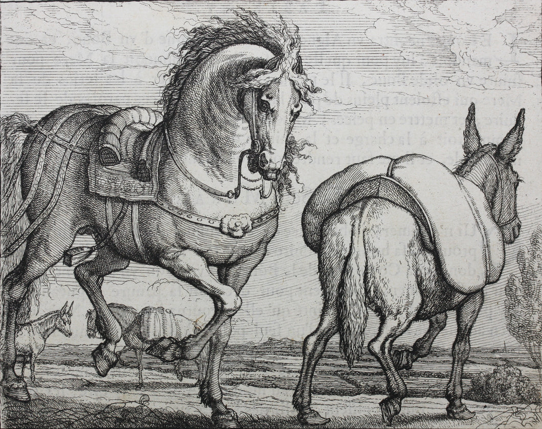 Francis Barlow. XIV. The Horse and Ass. From Aesop's Fables. Etching. 1666.