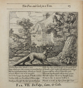 Francis Barlow. VII. The Fox and Cock in a Tree. From Aesop's Fables. Etching. 1666.