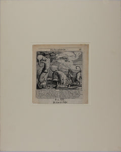 Francis Barlow. XX. The Fox and the Cat. From Aesop's Fables. Etching. 1666.