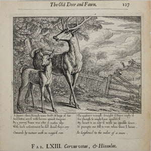 Francis Barlow. LXIII. The Old Deer and Fawn. From Aesop's Fables. Etching. 1666.