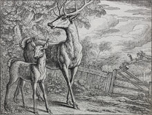 Load image into Gallery viewer, Francis Barlow. LXIII. The Old Deer and Fawn. From Aesop&#39;s Fables. Etching. 1666.
