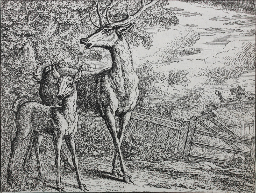 Francis Barlow. LXIII. The Old Deer and Fawn. From Aesop's Fables. Etching. 1666.