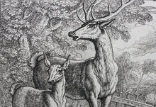 Load image into Gallery viewer, Francis Barlow. LXIII. The Old Deer and Fawn. From Aesop&#39;s Fables. Etching. 1666.
