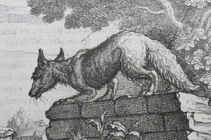 Francis Barlow. LX. The Goat in the Well. From Aesop's Fables. Etching. 1666.