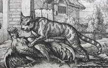 Load image into Gallery viewer, Francis Barlow. LVII. The Cat and Cock. From Aesop&#39;s Fables. Etching. 1666.
