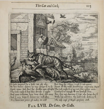 Load image into Gallery viewer, Francis Barlow. LVII. The Cat and Cock. From Aesop&#39;s Fables. Etching. 1666.
