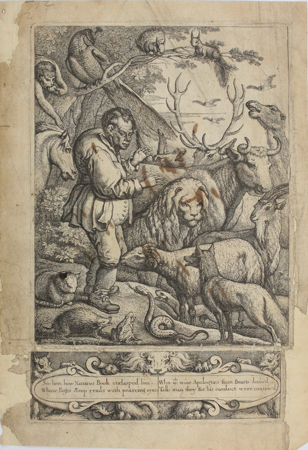 Francis Barlow. Portrait of Aesop. Frontispiece from Aesop's Fables. Engraving. 1666.
