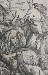 Francis Barlow. Portrait of Aesop. Frontispiece from Aesop's Fables. Engraving. 1666.