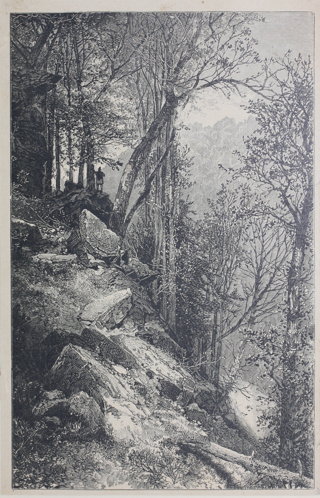Thomas Moran, after. Chasm. Wood engraving by Francis H. Schell. C. 1880.