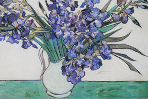 Vincent van Gogh. Irises. Metropolitan Museum of Art. Original Vintage Art Poster. 1985.