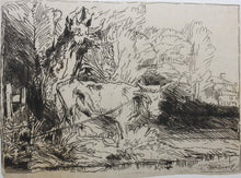 Load image into Gallery viewer, Rembrandt, after. The Bull. Etching by Léopold Flameng. C. 1859.
