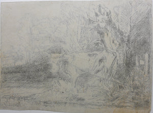 Rembrandt, after. The Bull. Etching by Léopold Flameng. C. 1859.