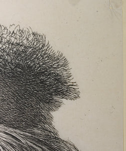 Giovanni Benedetto Castiglione. Bearded head in profile to the left. Etching. C. 1645-1650.