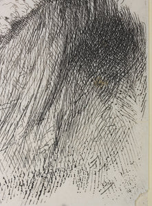 Giovanni Benedetto Castiglione. Bearded head in profile to the left. Etching. C. 1645-1650.