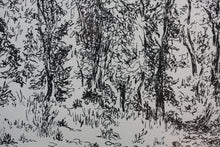 Load image into Gallery viewer, Prentiss Taylor. (1907 - 1991).  Roaring Fork. Drawing. 1962.
