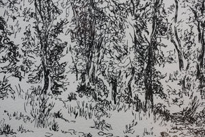 Prentiss Taylor. (1907 - 1991).  Roaring Fork. Drawing. 1962.