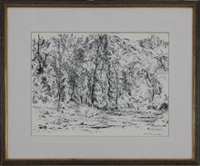 Load image into Gallery viewer, Prentiss Taylor. (1907 - 1991).  Roaring Fork. Drawing. 1962.
