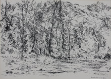 Load image into Gallery viewer, Prentiss Taylor. (1907 - 1991).  Roaring Fork. Drawing. 1962.
