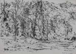 Prentiss Taylor. (1907 - 1991).  Roaring Fork. Drawing. 1962.