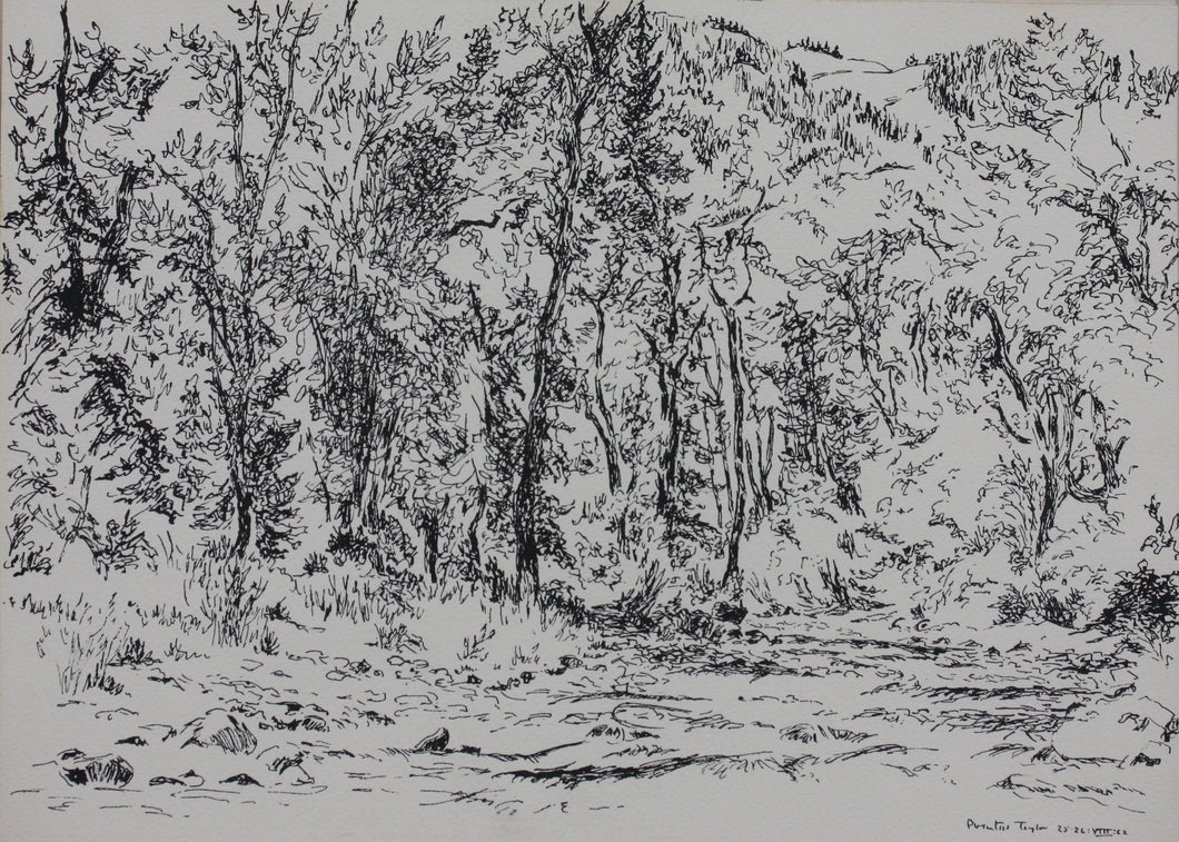 Prentiss Taylor. (1907 - 1991).  Roaring Fork. Drawing. 1962.