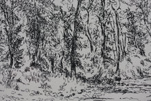 Load image into Gallery viewer, Prentiss Taylor. (1907 - 1991).  Roaring Fork. Drawing. 1962.

