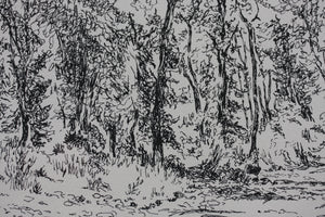 Prentiss Taylor. (1907 - 1991).  Roaring Fork. Drawing. 1962.
