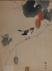 Matsumoto-Do. Birds and Persimmons. Birds and Berries. A pair of vintage woodblock prints in matching frames. Mid 20th century.