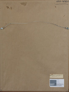 Chaim Gross. Self Portrait. Lithograph. Artist proof. 1968.