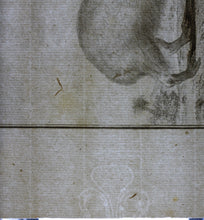 Load image into Gallery viewer, Jacques de Sève, after. Le Cabiai. Engraved by Christian Friedrich Fritzsch. 1770.
