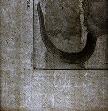 Load image into Gallery viewer, Jacques de Sève, after. l&#39;Ondatra. Engraved by Christian Friedrich Fritzsch. 1768.
