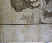 Load image into Gallery viewer, Jacques de Sève, after. Le Pecari. Engraved by Christian Friedrich Fritzsch. C. 1772.
