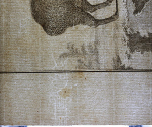 Jacques de Sève, after. Le Pecari. Engraved by Christian Friedrich Fritzsch. C. 1772.