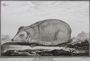 Jacques de Sève, after. Le Herisson. Engraved by Christian Friedrich Fritzsch. C. 1772.
