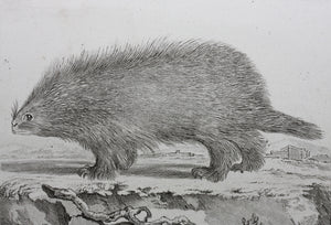 Jacques de Sève, after. l'Urson. Engraved by Christian Friedrich Fritzsch. 1770.